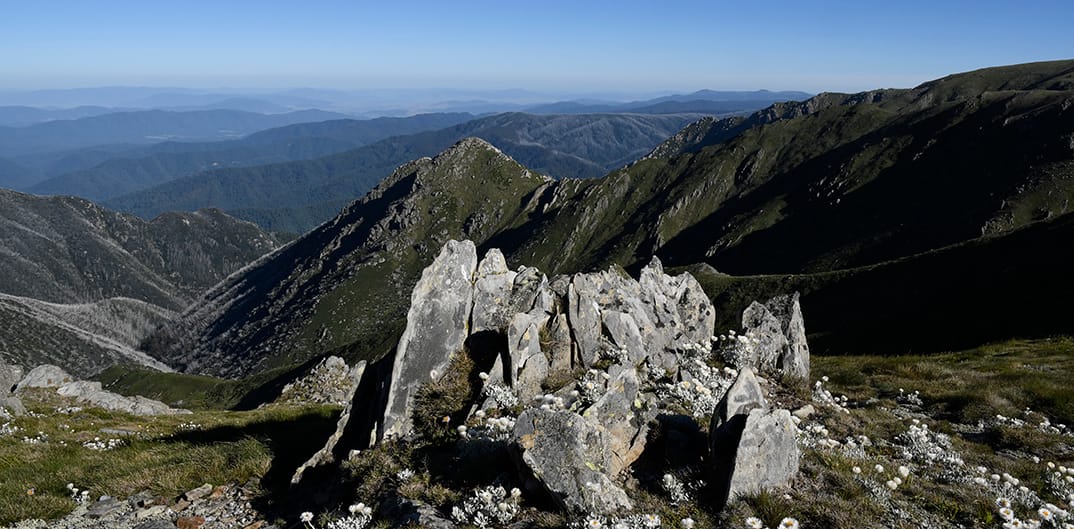The view towards The Sentinel.