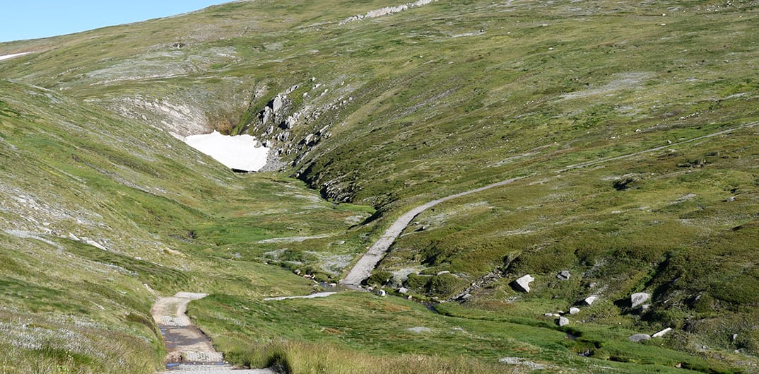 The trail leading towards Blue Lake.