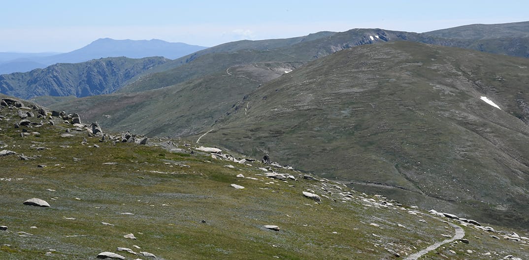 Looking north from near the Kosciuszko and Main Range Track junction.