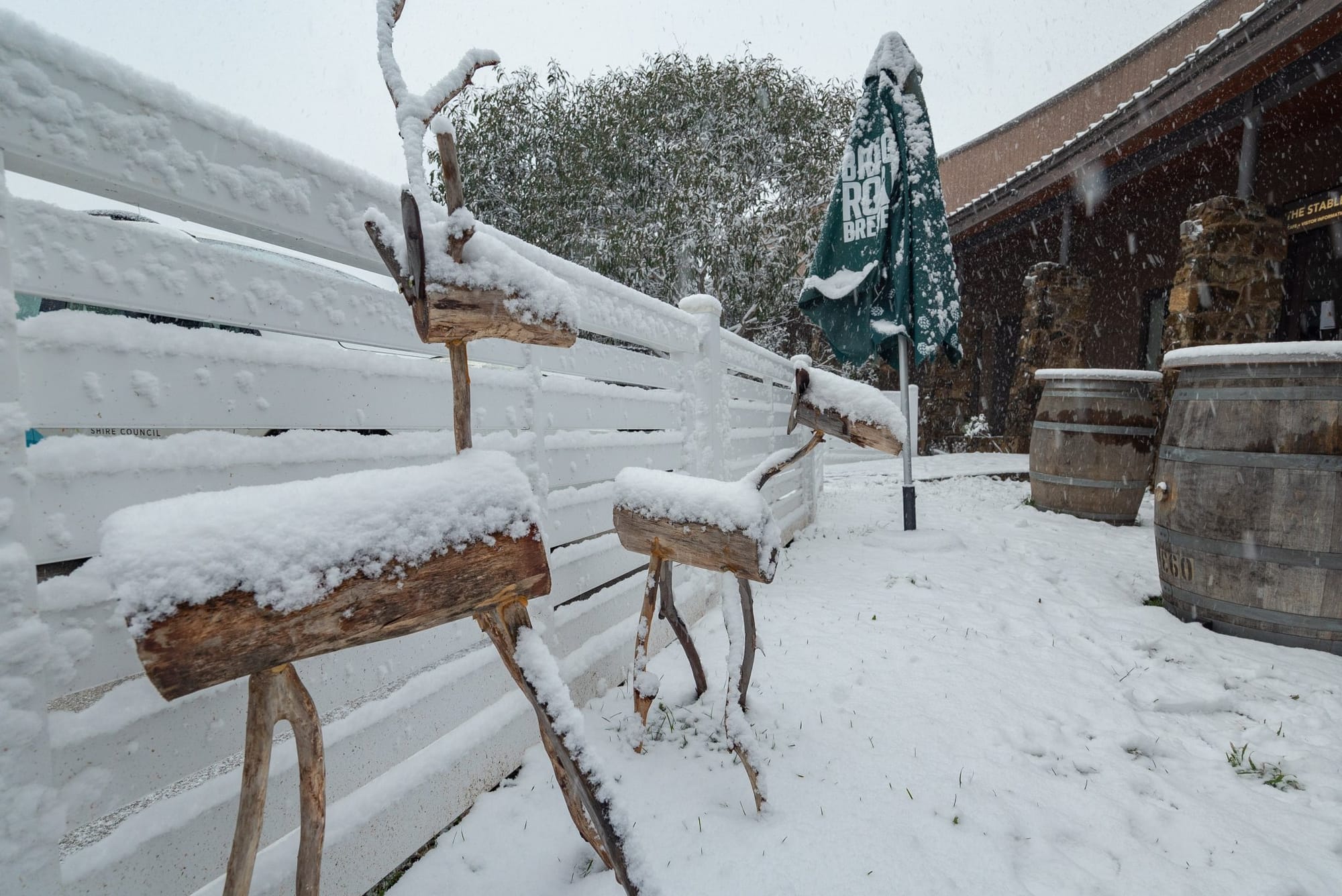 Dinner Plain Monday afternoon. Photo: Dinner Plain.