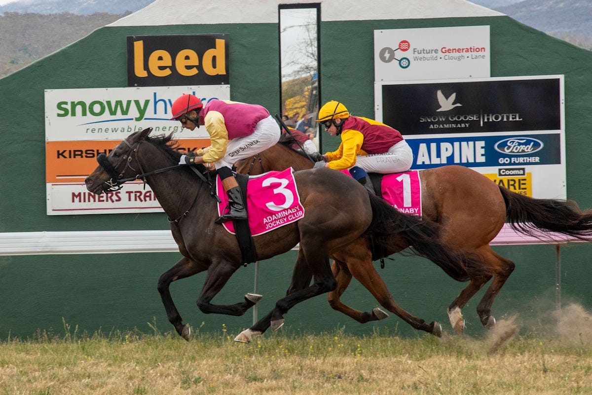 Adaminaby Races Family Affair