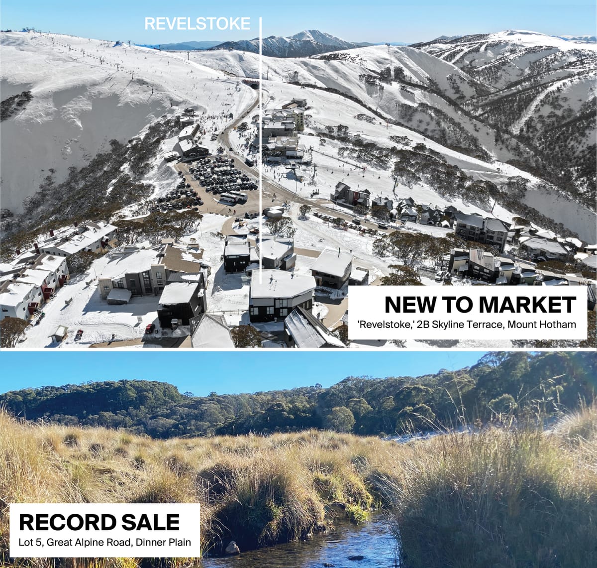 Buyer interest is on the rise at Dinner Plain and Mount Hotham Post feature image