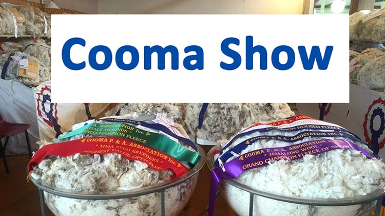 Cooma Show Horse Events over 2 days Post feature image