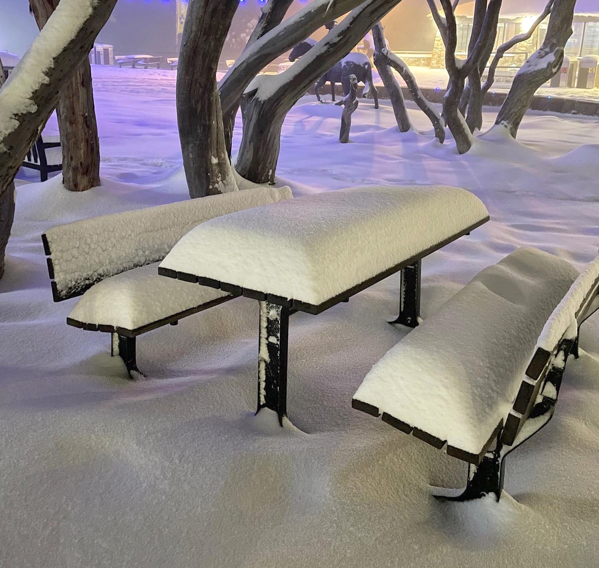 Mt Buller to open week early on Saturday 4 June Post feature image