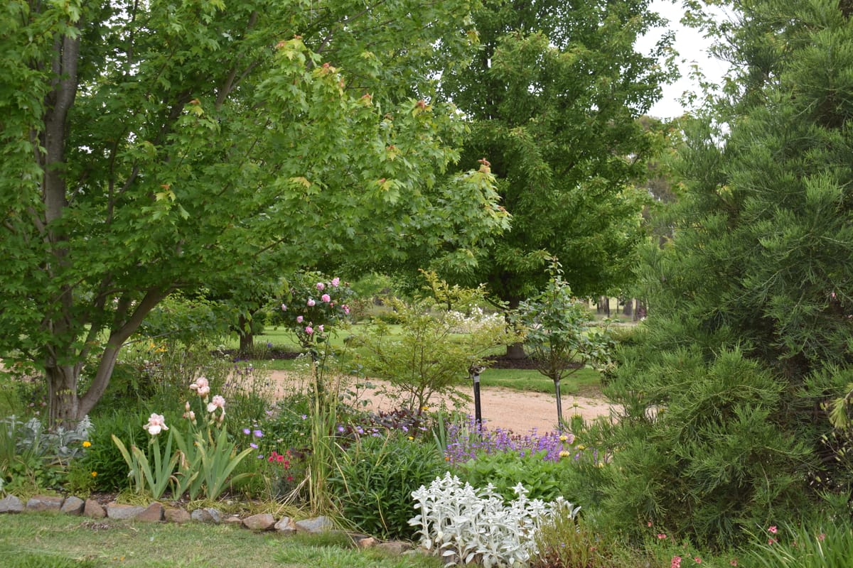 Garden opens for Australia Day weekend Post feature image