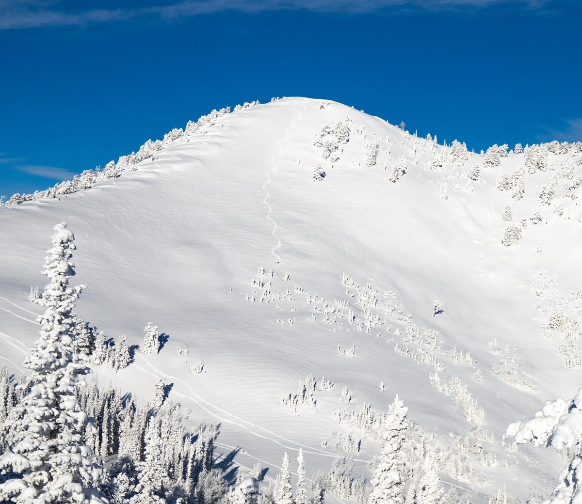 Independent Ski Resorts Buck Trend Post feature image