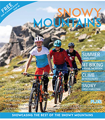 2020-21 Summer Holiday Edition Post feature image