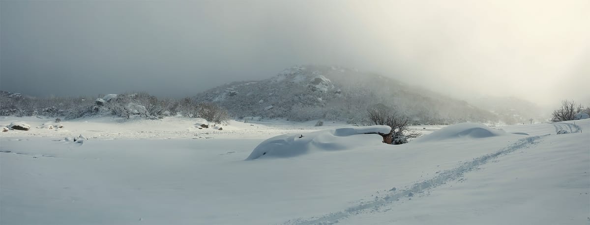 Snow play to be limited on Buffalo Post feature image