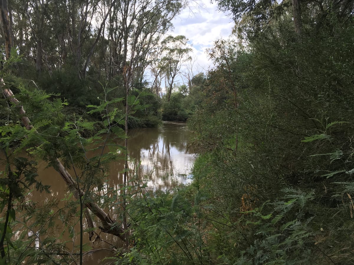 Lake Nillahcootie water to benefit Broken River wildlife Post feature image