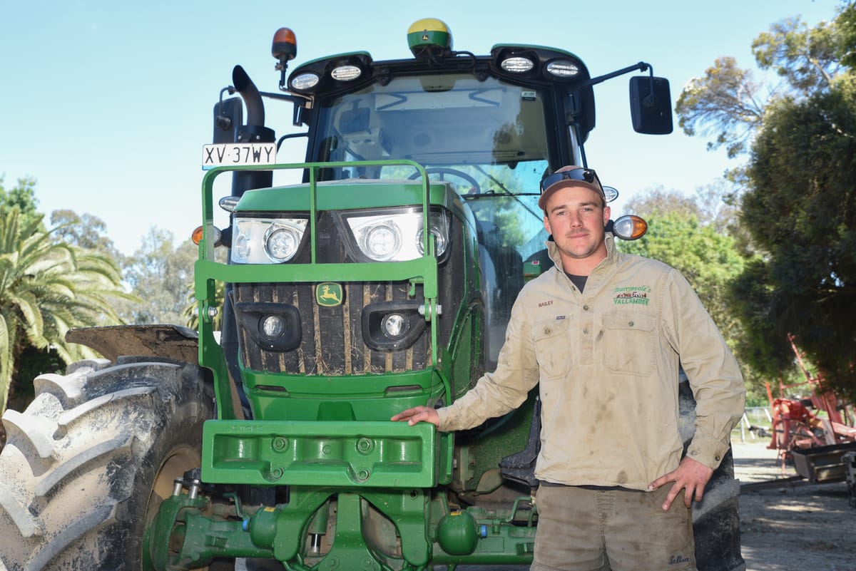 Some hay growers' worst fears have become reality Post feature image