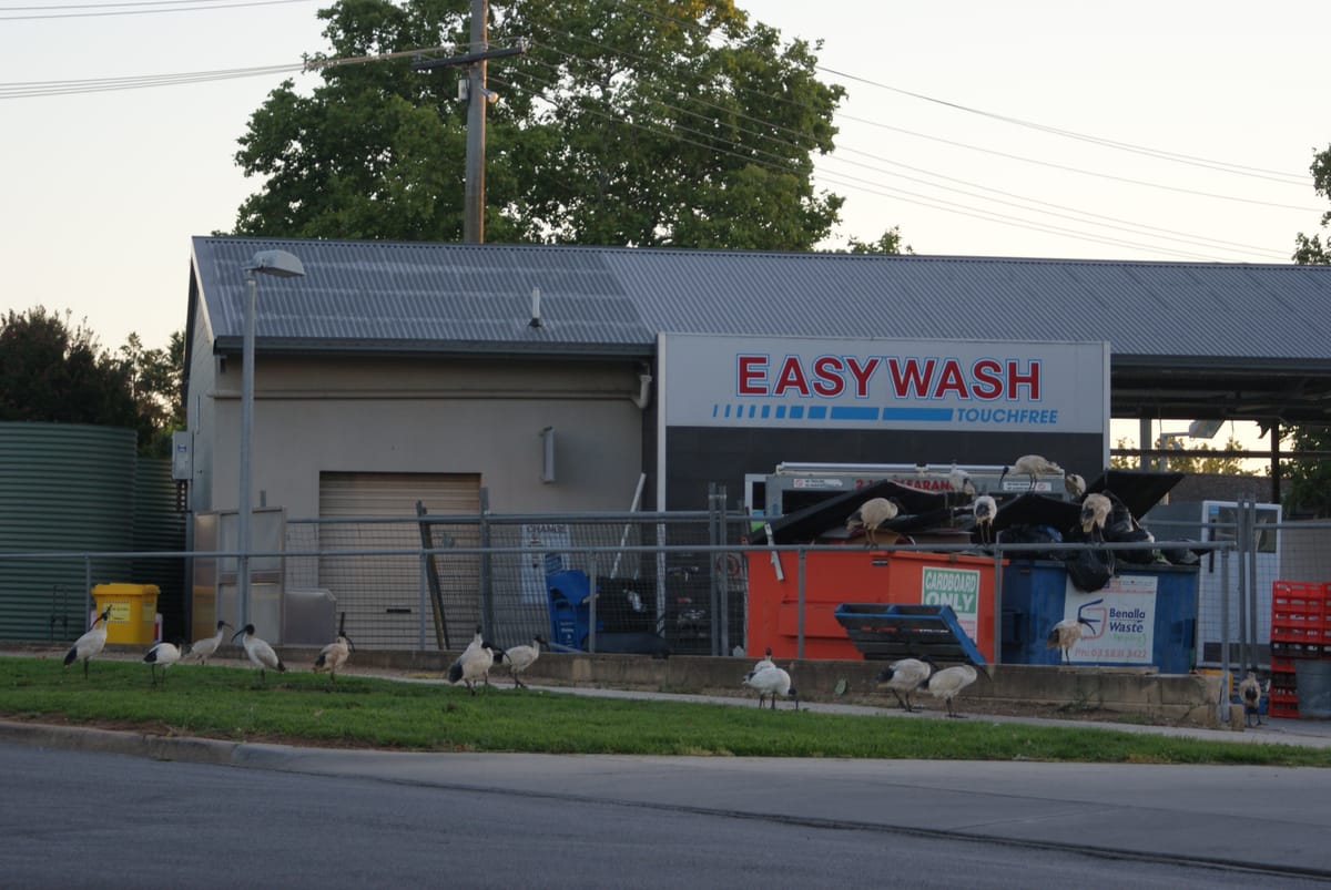 Relax in Mansfield Post feature image