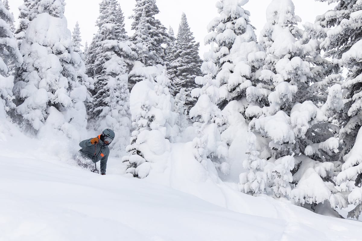 Sun Peaks, Canada’s second largest ski area joins the Ikon Pass. Post feature image