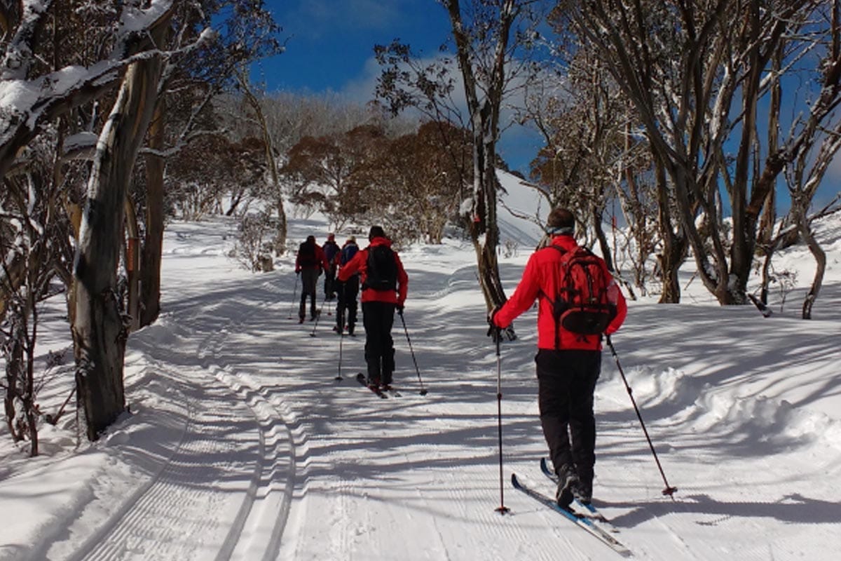 Mt Hotham freshens up image as ‘peak’ experience for visitors Post feature image