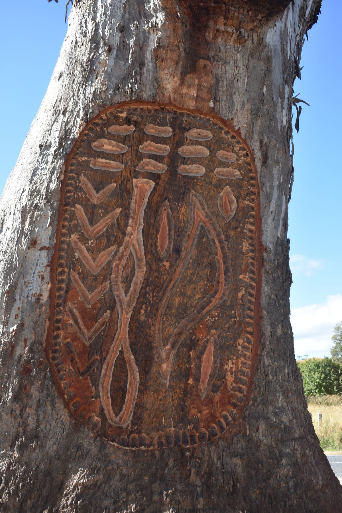 Rail Trail art on the way Post feature image