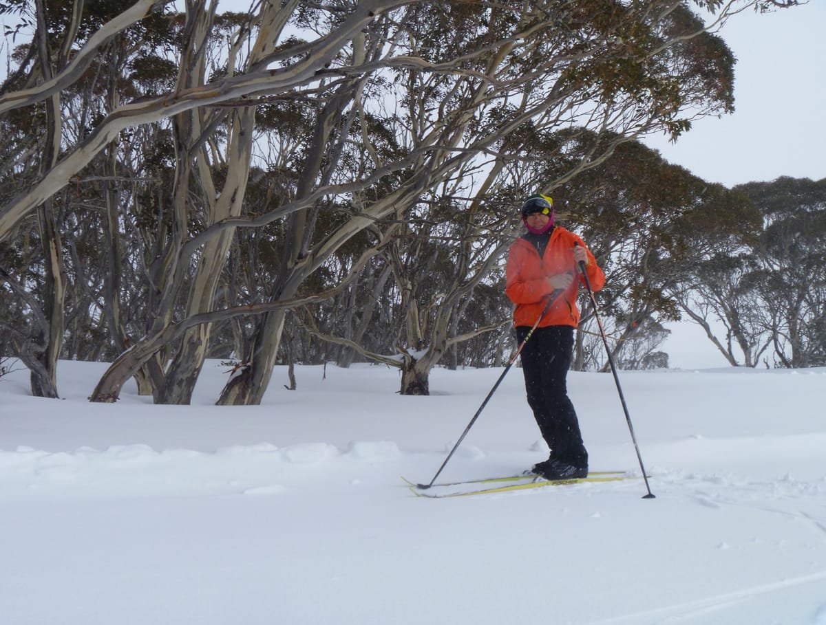 Bev making most of Hotham's magical cross country season Post feature image