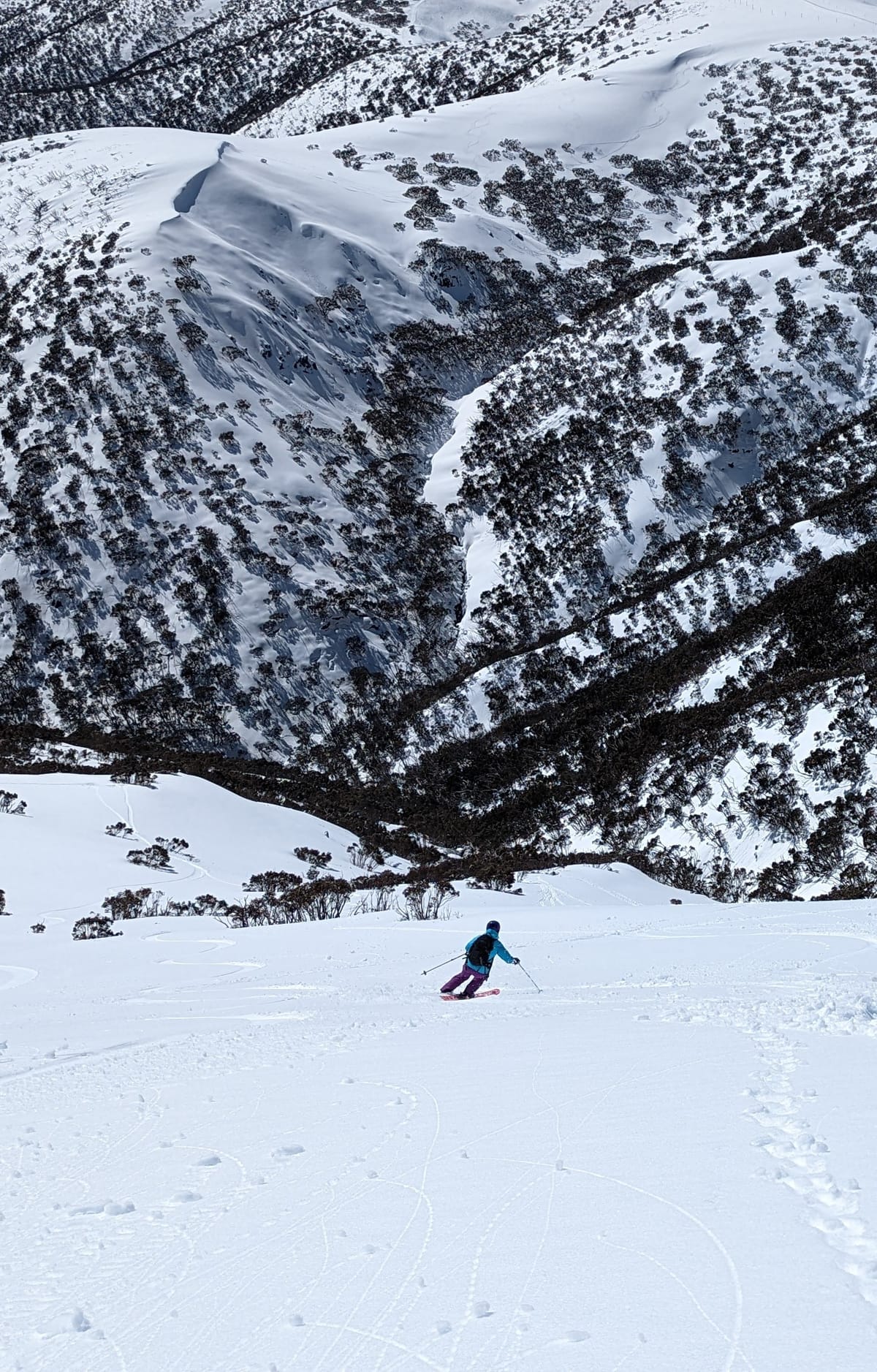 Spilling the Beans – Classic Hotham Sidecountry Descents Part 3 Post feature image