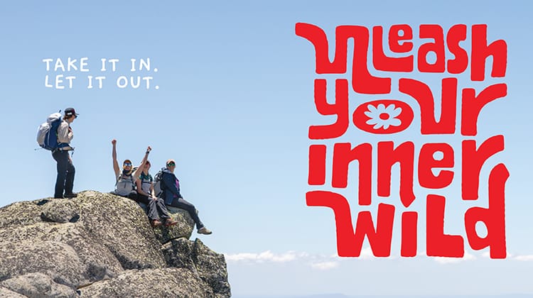 Thredbo Summer - Unleash Your Inner Wild Post feature image