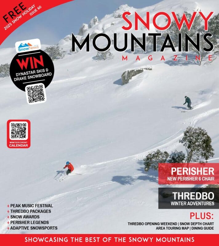 2025 Snow Holiday Post feature image