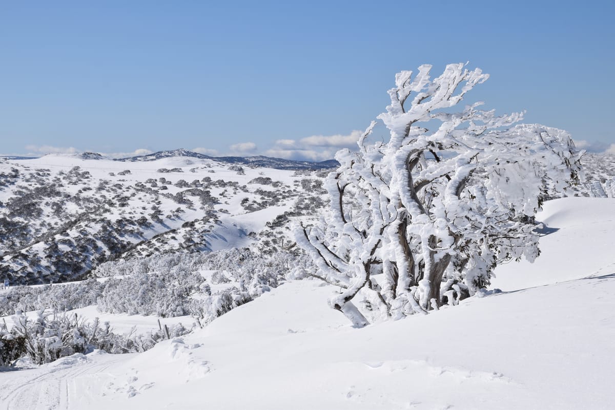 Alpine turns winter wonderland Post feature image