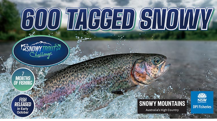2024-25 Snowy Trout Challenge Post feature image
