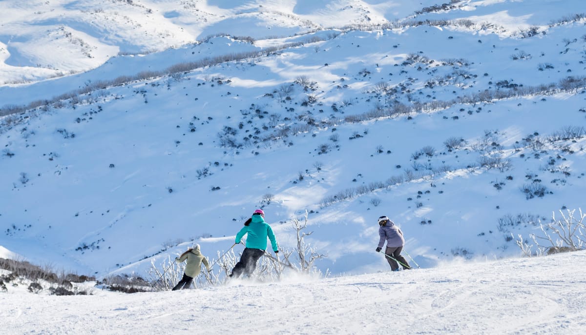 Perisher – Over 3000 Acres Of Great Snow Post feature image