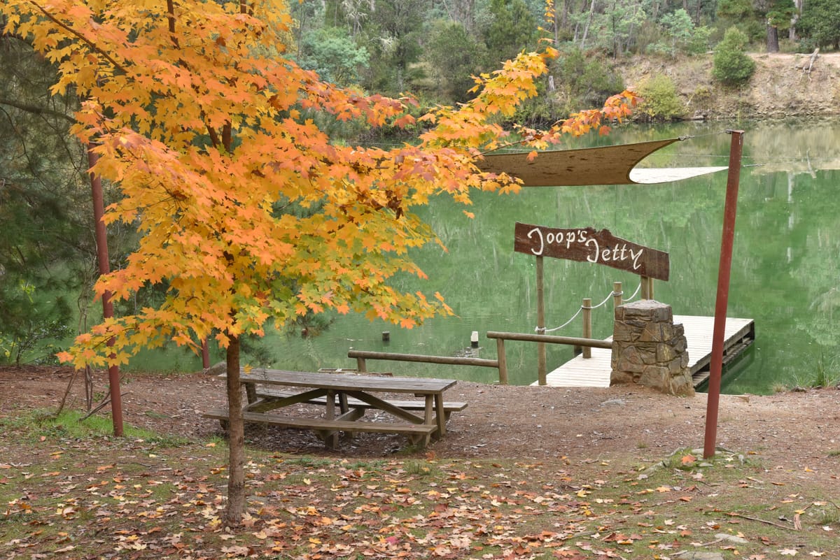 Where else but Bright this autumn? Post feature image