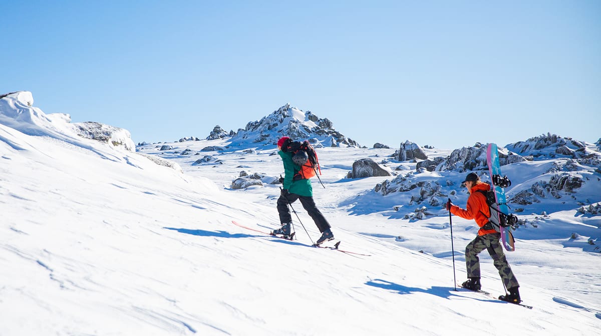 Thredbo Environment Week - Hike to Kosci Post feature image