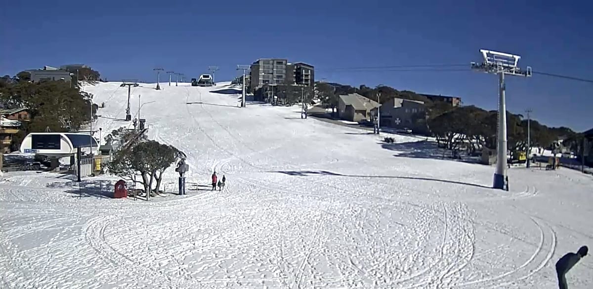 Buller gets put on ice Post feature image