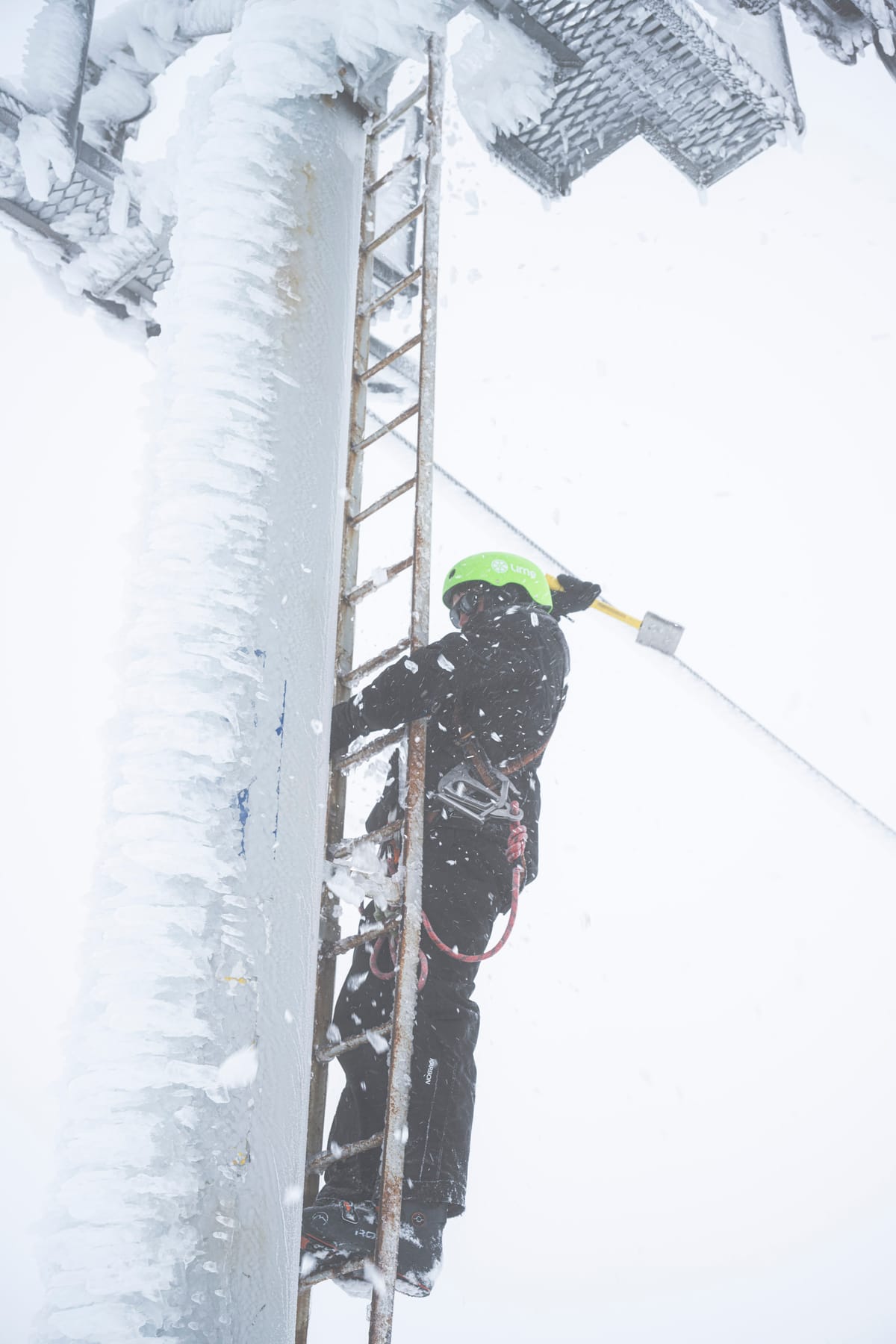 Winter season stays on with fresh snowfalls Post feature image