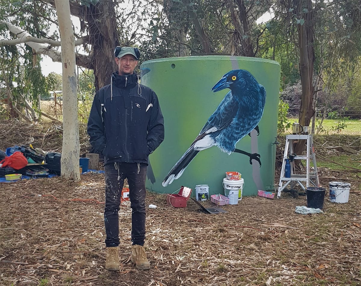 Currawong joy in the paddock Post feature image