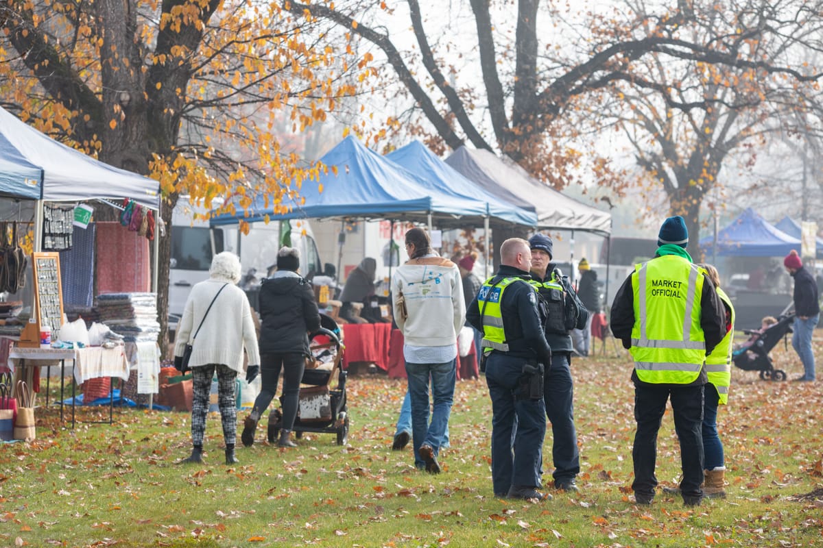 Mansfield comes alive again Post feature image