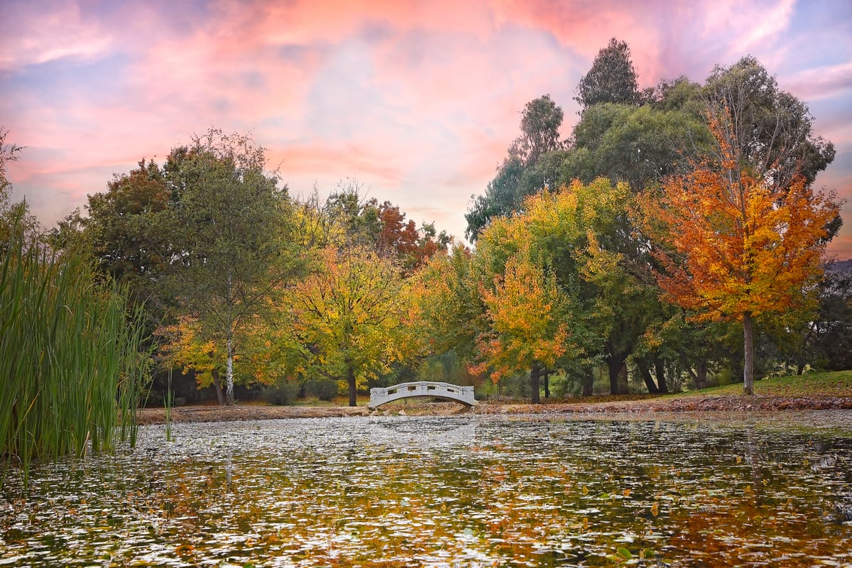 The brilliance of Beechworth Post feature image