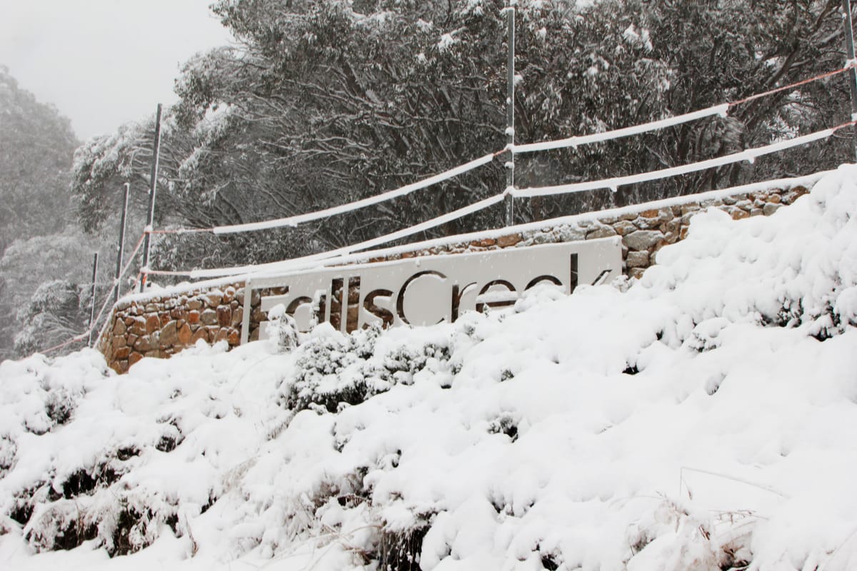 Falls Creek is certainly back in action Post feature image