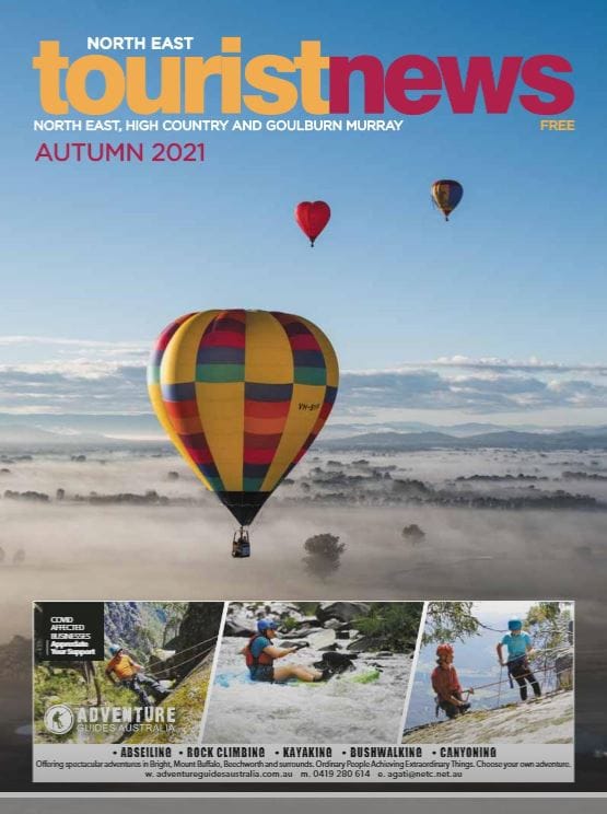 2021 Autumn Post feature image