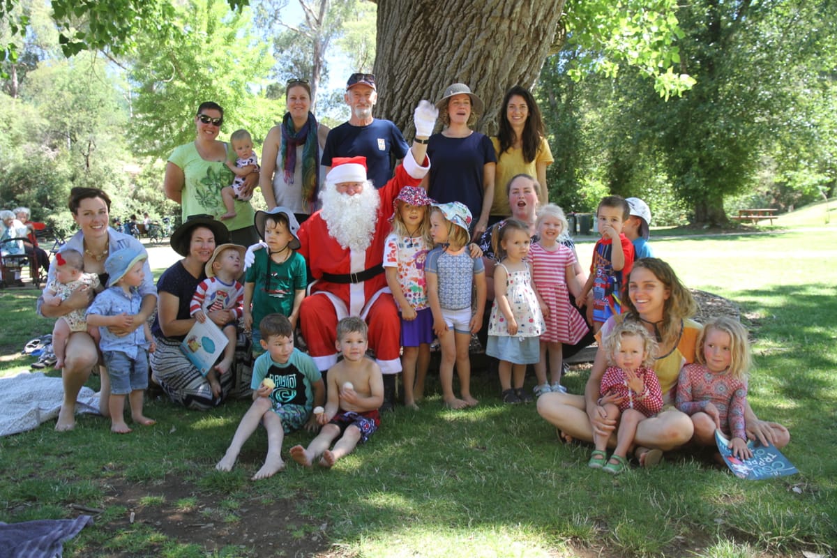 Brumby numbers run wild Post feature image