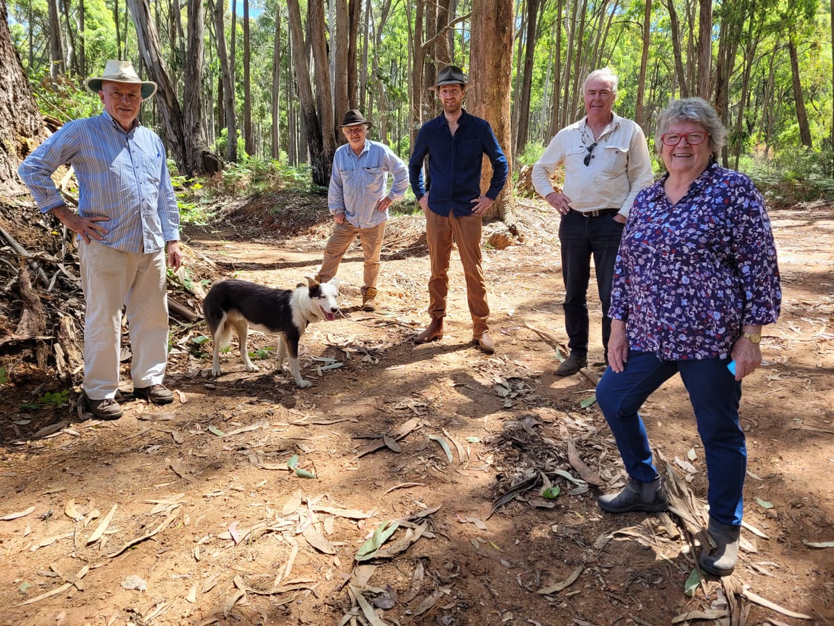 Walking Stanley Project launches next week Post feature image