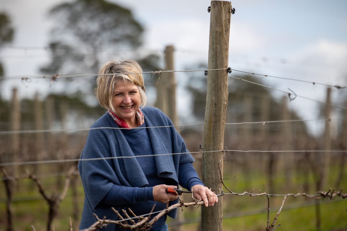 Celebrating our local ladies Post feature image