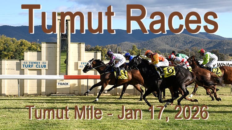 Tumut Races - Tumut Mile Post feature image