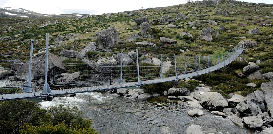 Illawong Hike Post image