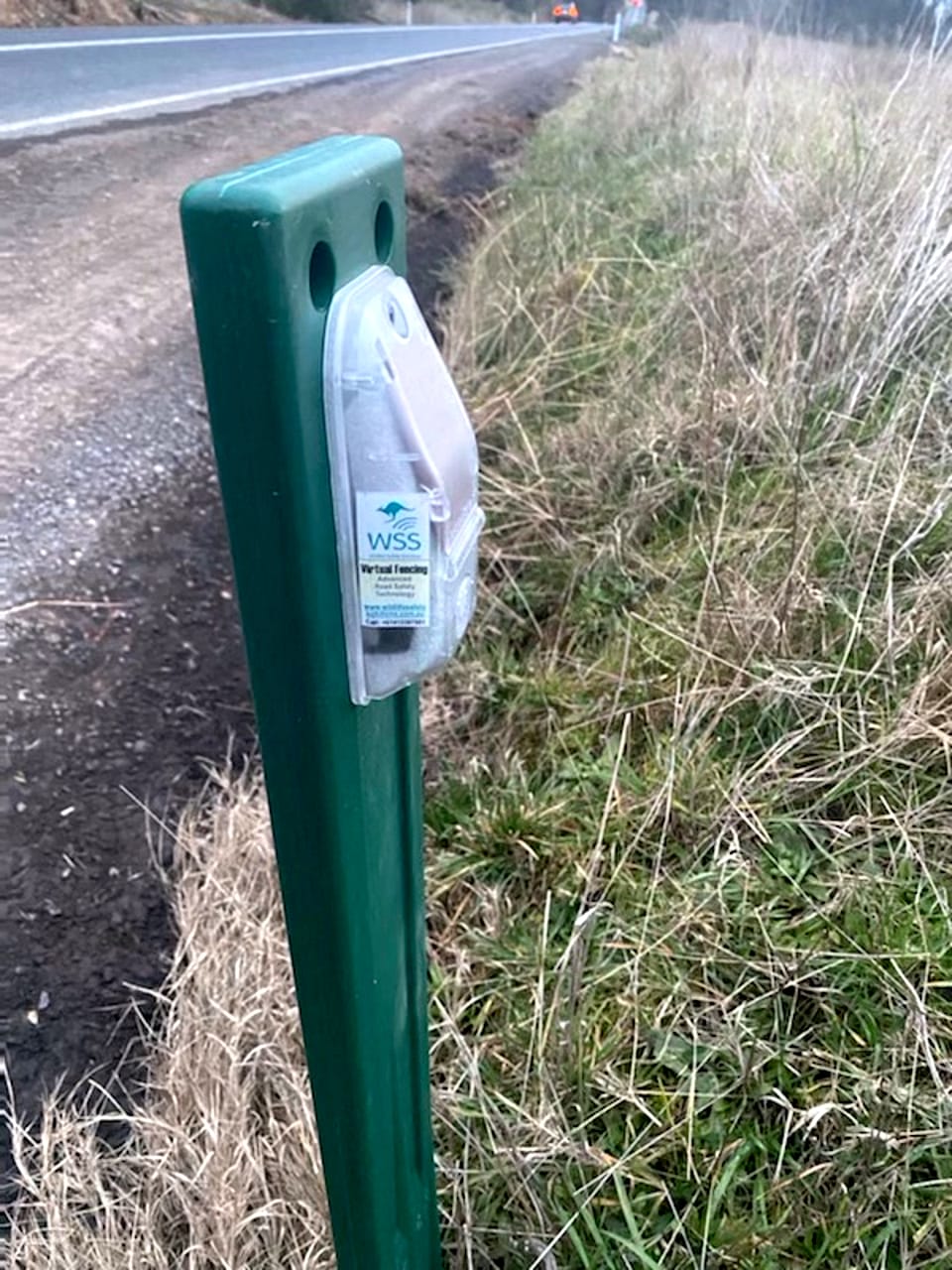 Oh deer - wildlife controlled by blue flashing lights Post image