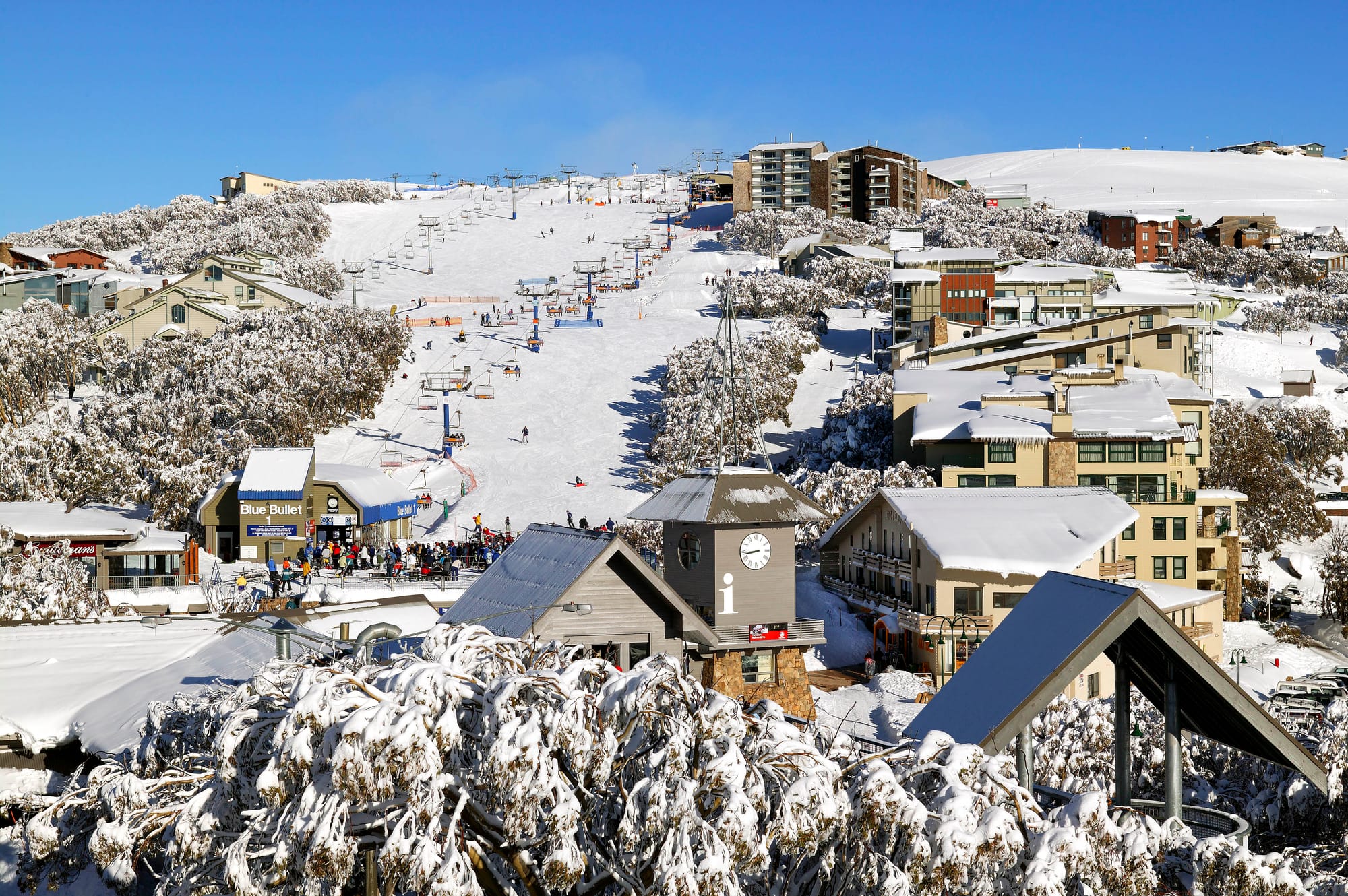 The AMS guarantee Post image