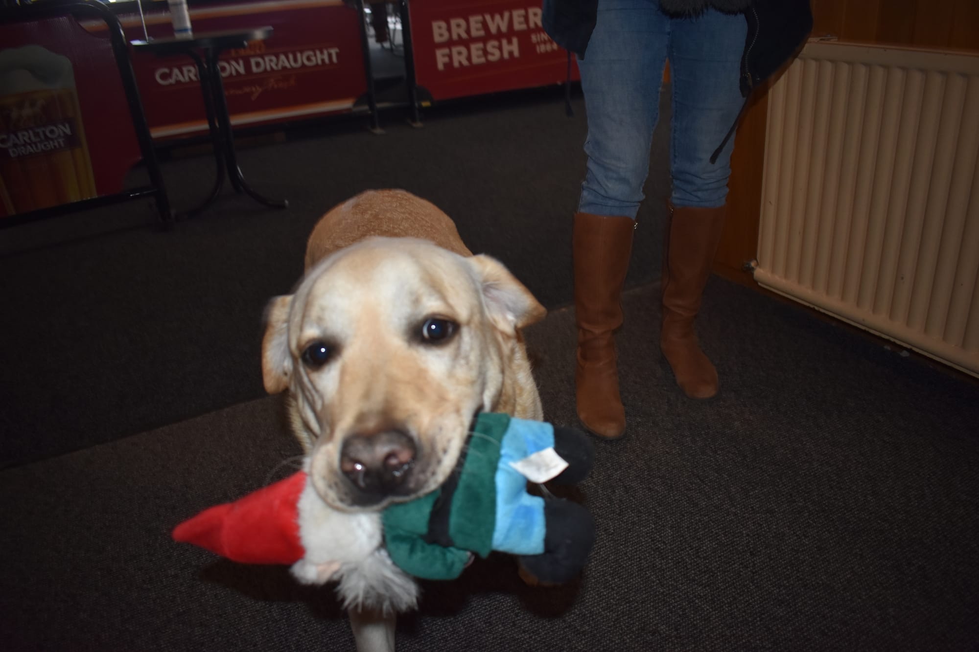 Eating in and taking away – most are open Post image