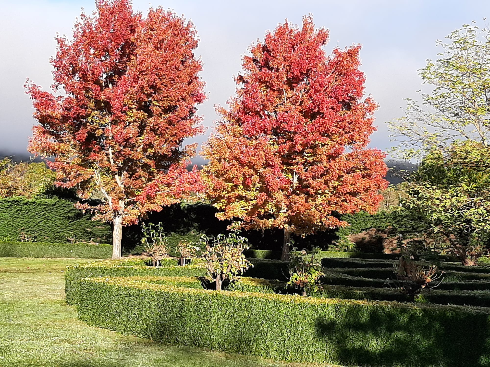 Where else would you be this autumn? Post image