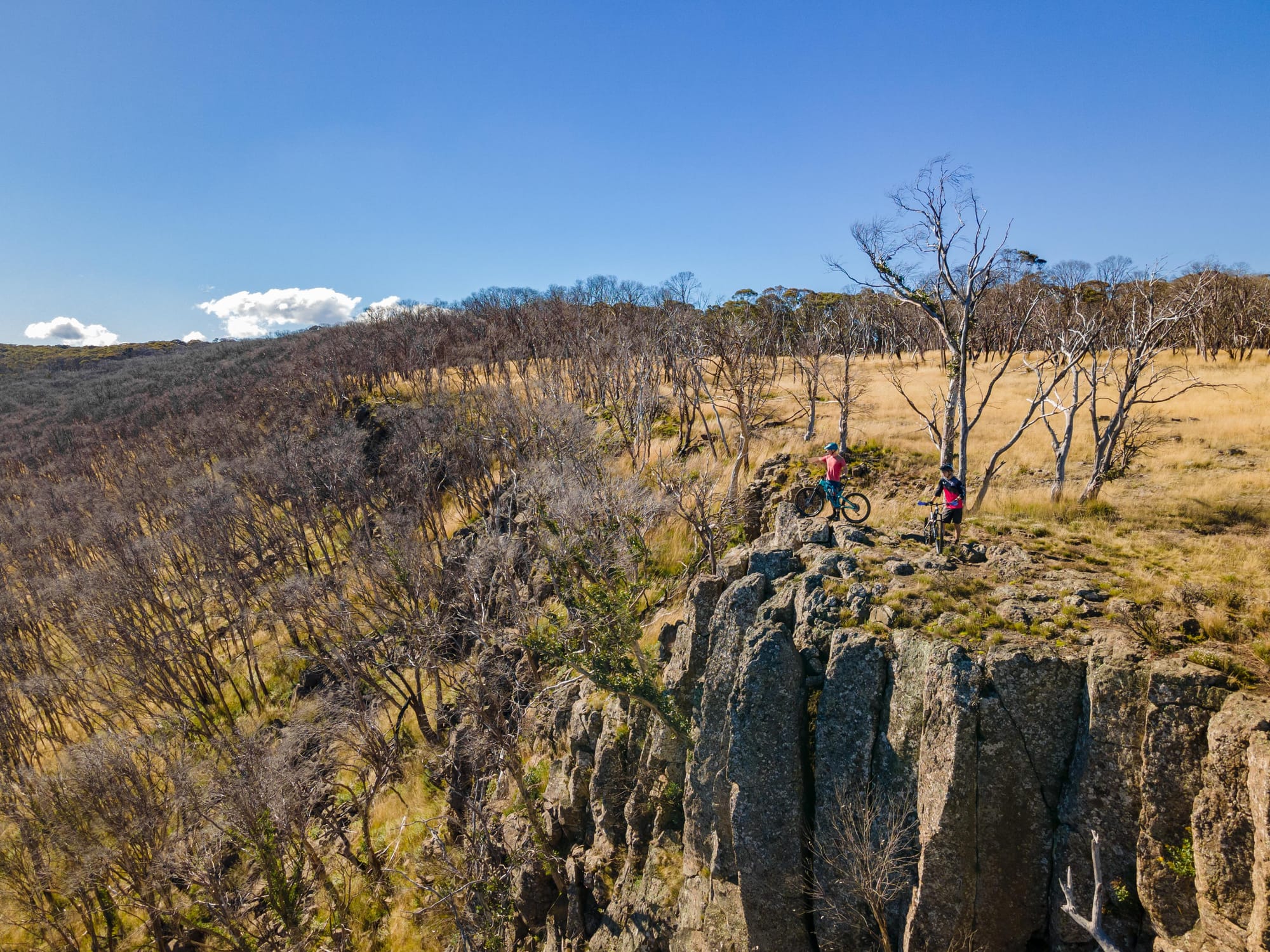 Put Dinner Plain on your wish list this autumn Post image
