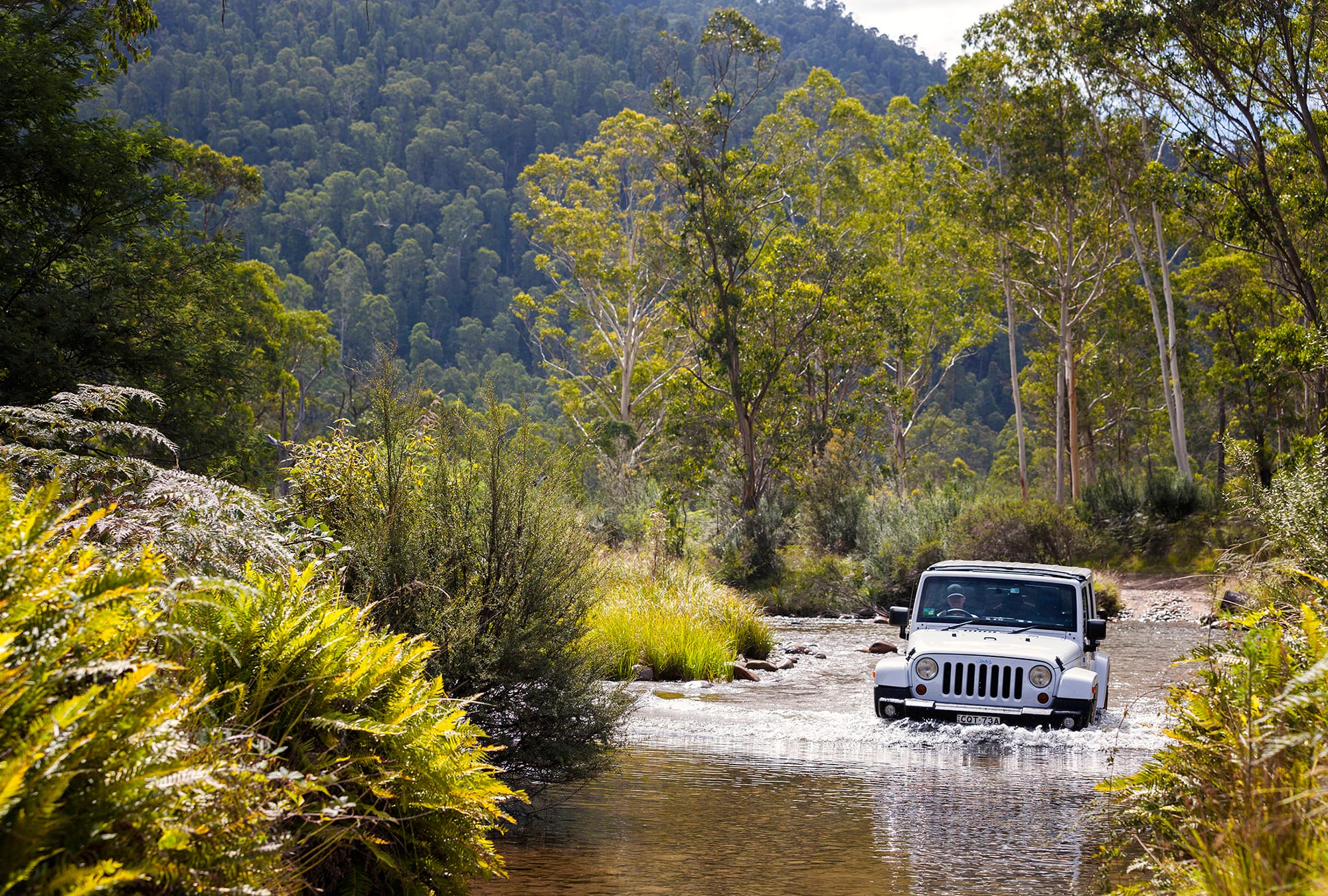 Summer Mountain Drives Post image