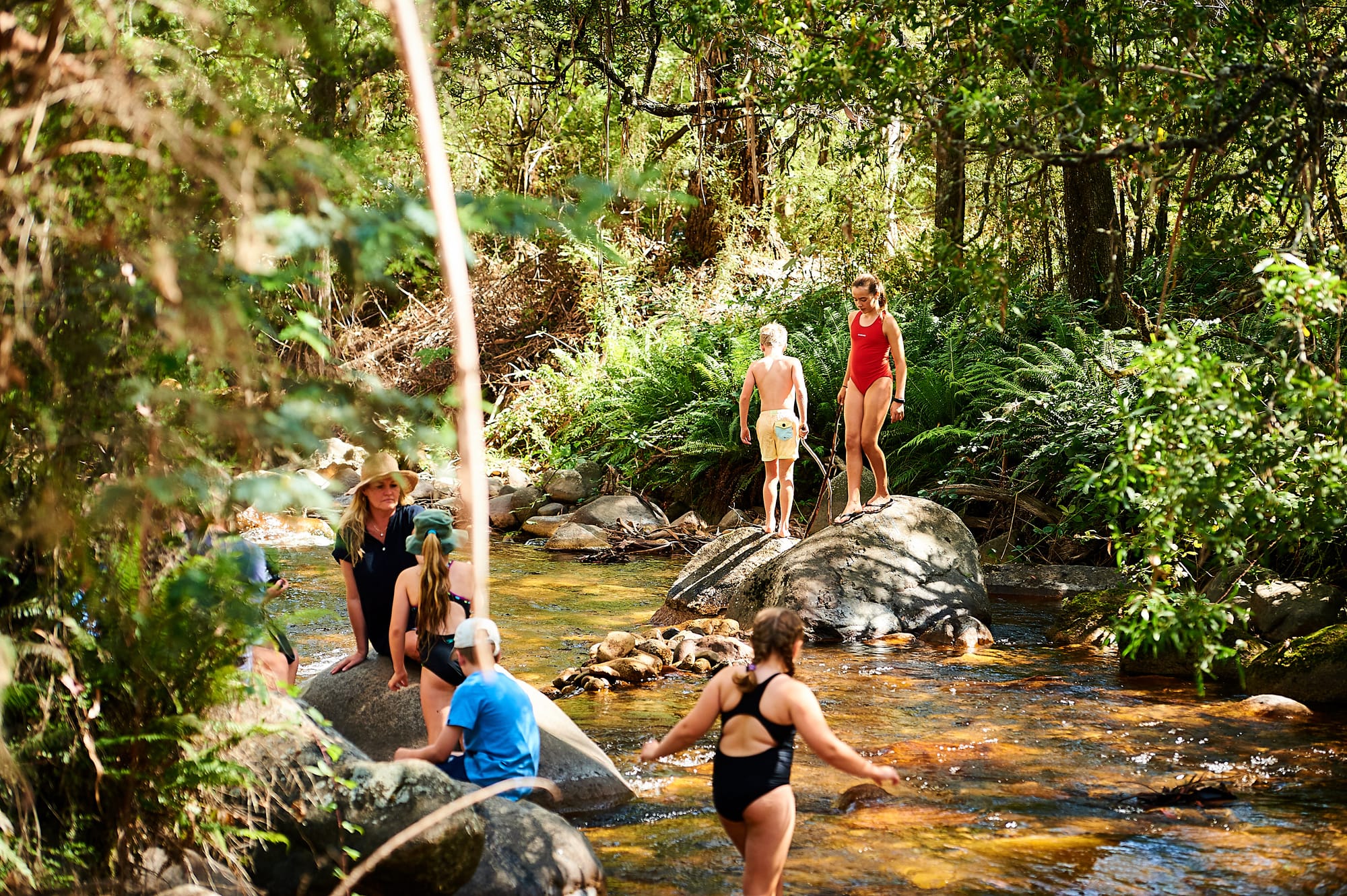 Mirimbah Precinct Masterplan opportunity for input Post image