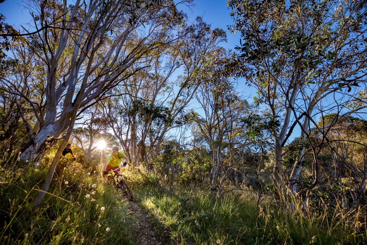 The all new Dinner Plain Post image