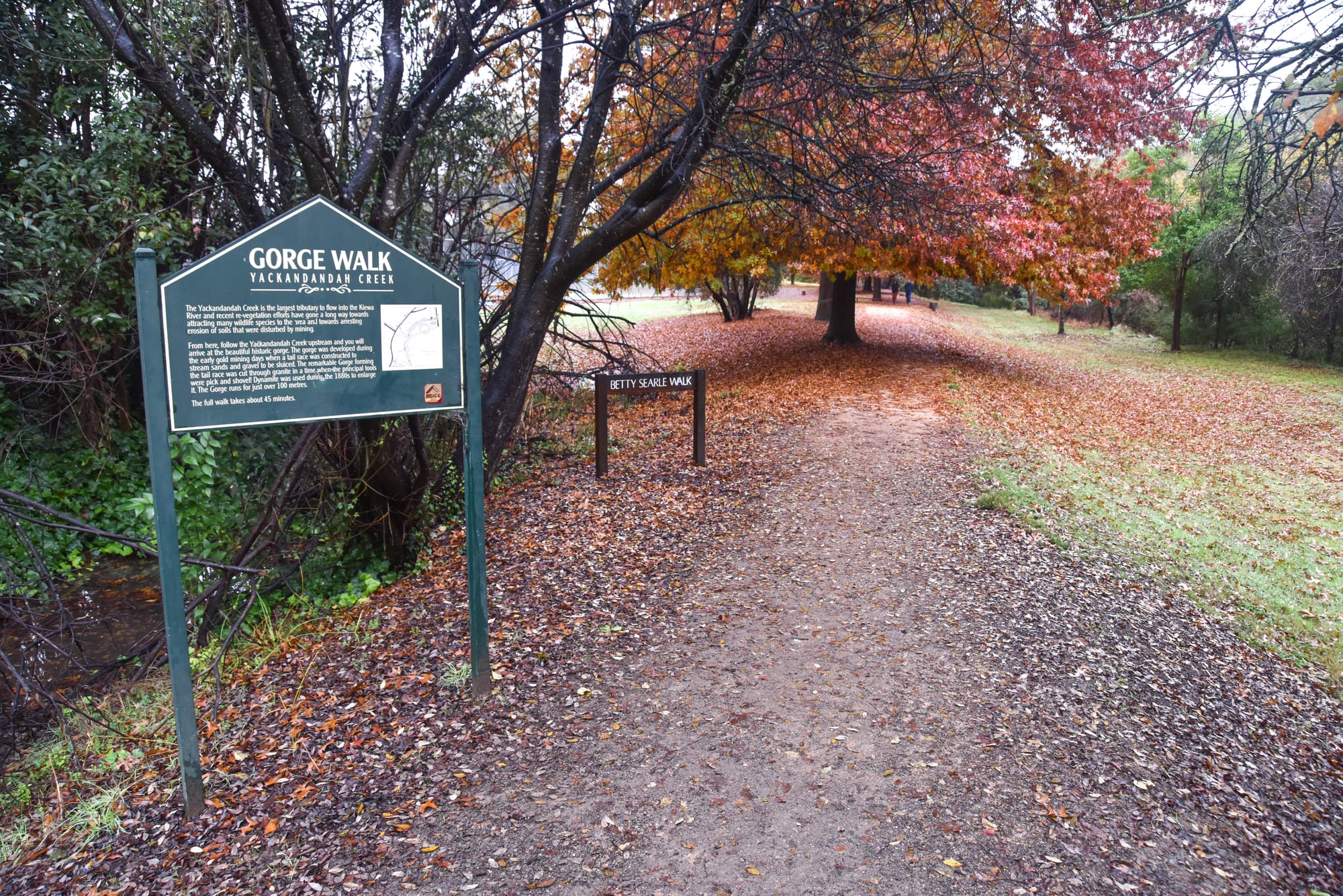 Down the track to Yack Post image