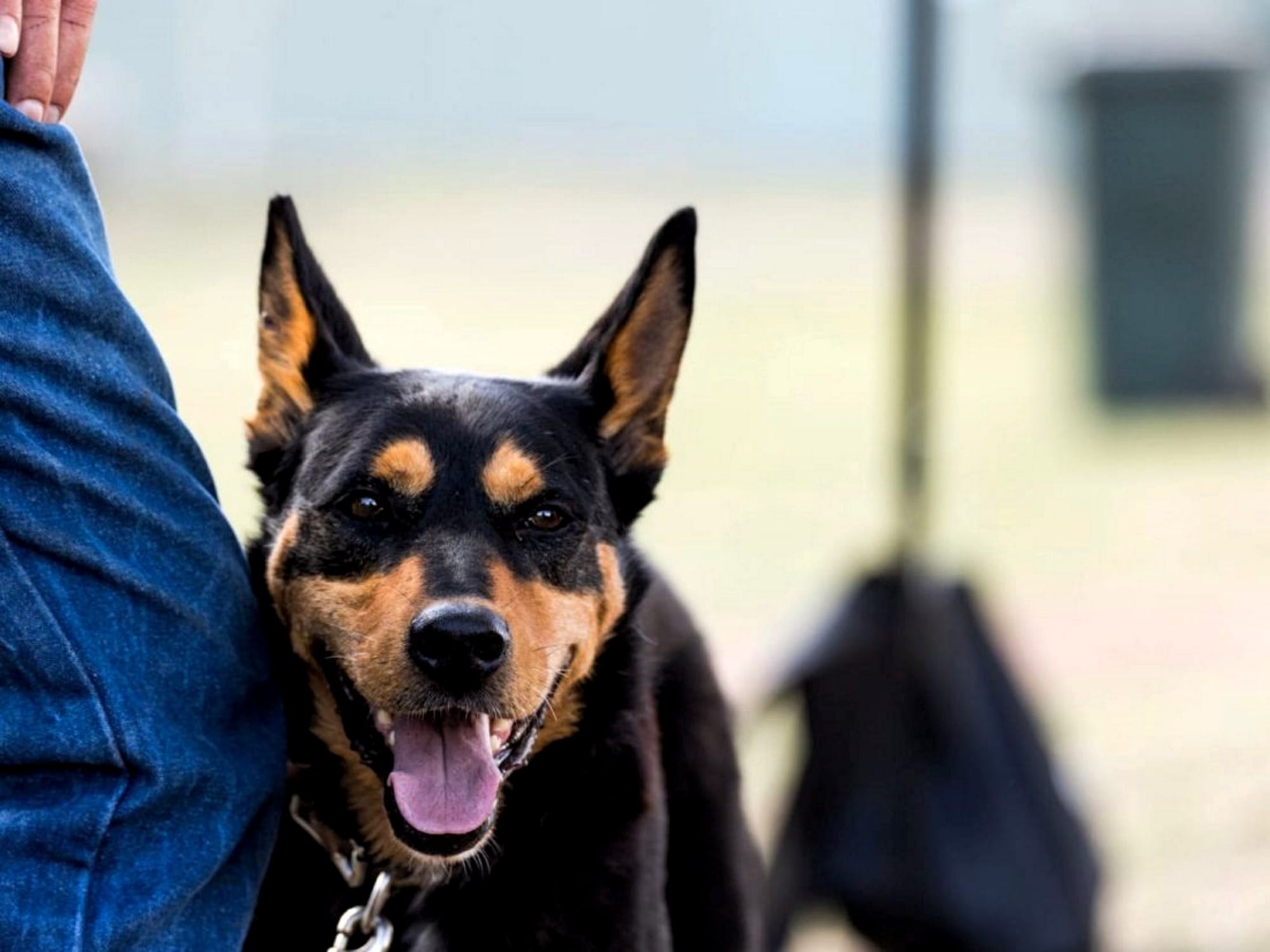 Big March for Mansfield Post image