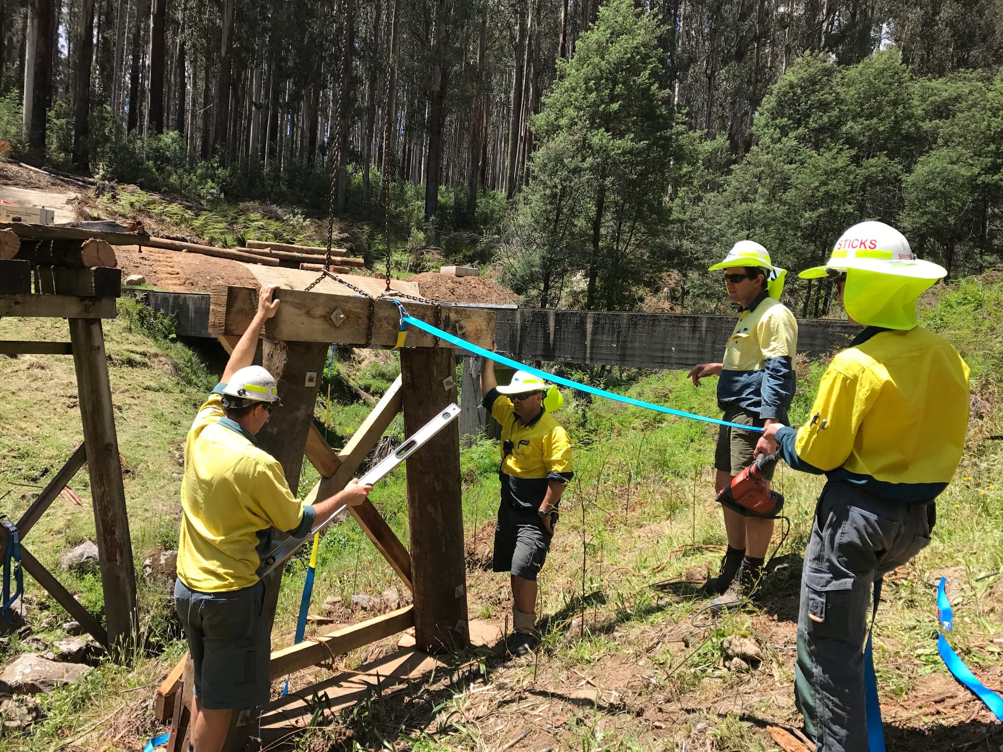 New forest walking tracks provide links to the past Post image